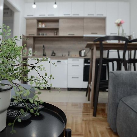 Apartment Dobraya Grey Nowy Sad Zewnętrze zdjęcie
