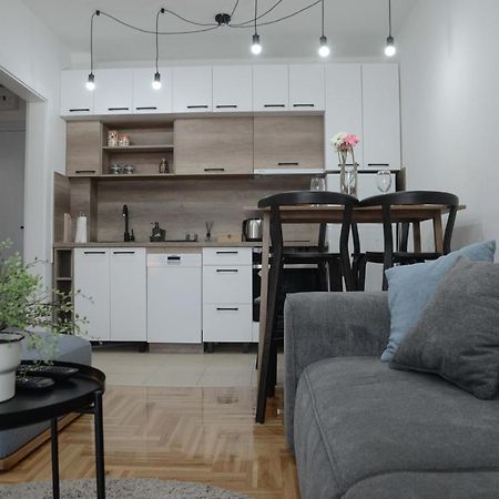 Apartment Dobraya Grey Nowy Sad Zewnętrze zdjęcie