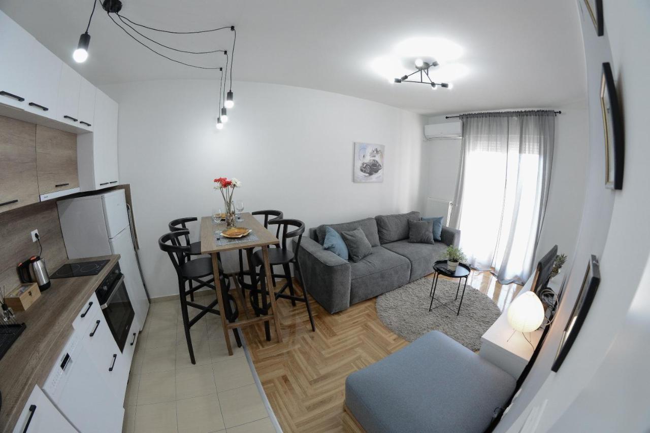 Apartment Dobraya Grey Nowy Sad Zewnętrze zdjęcie